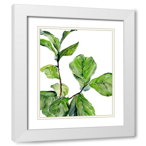 Fiddle Fig II White Modern Wood Framed Art Print with Double Matting by Parker, Jennifer Paxton