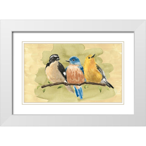 Bird Perch IV White Modern Wood Framed Art Print with Double Matting by Warren, Annie
