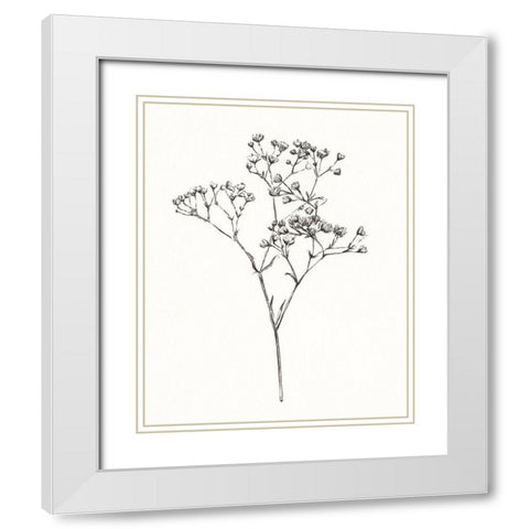 Wild Bloom Sketch I White Modern Wood Framed Art Print with Double Matting by Warren, Annie