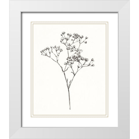 Wild Bloom Sketch I White Modern Wood Framed Art Print with Double Matting by Warren, Annie