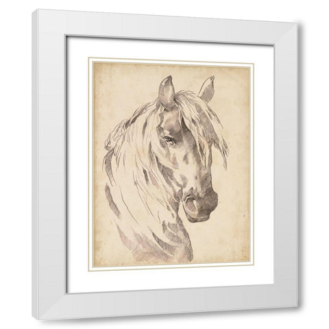Horse Portrait Sketch I White Modern Wood Framed Art Print with Double Matting by Parker, Jennifer Paxton