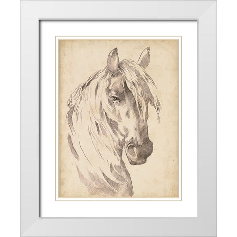 Horse Portrait Sketch I White Modern Wood Framed Art Print with Double Matting by Parker, Jennifer Paxton