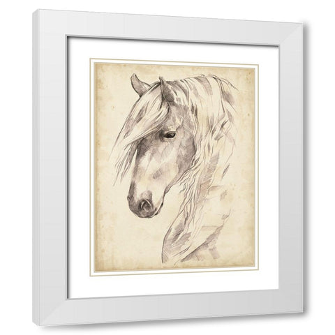 Horse Portrait Sketch II White Modern Wood Framed Art Print with Double Matting by Parker, Jennifer Paxton