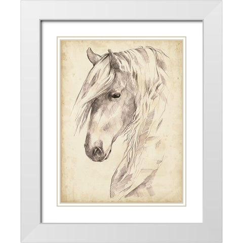 Horse Portrait Sketch II White Modern Wood Framed Art Print with Double Matting by Parker, Jennifer Paxton