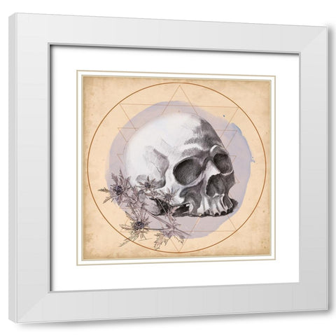 Skull Thistle II White Modern Wood Framed Art Print with Double Matting by Parker, Jennifer Paxton