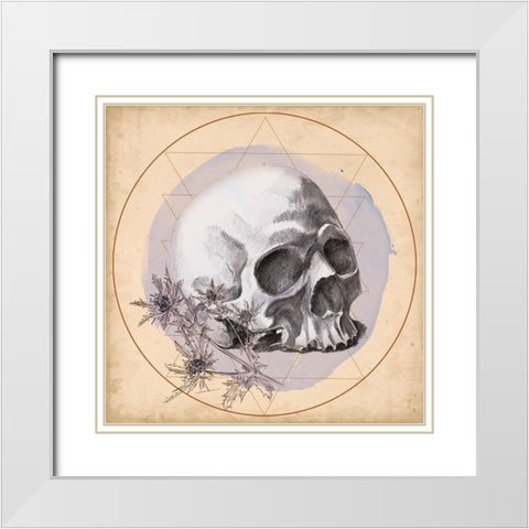 Skull Thistle II White Modern Wood Framed Art Print with Double Matting by Parker, Jennifer Paxton