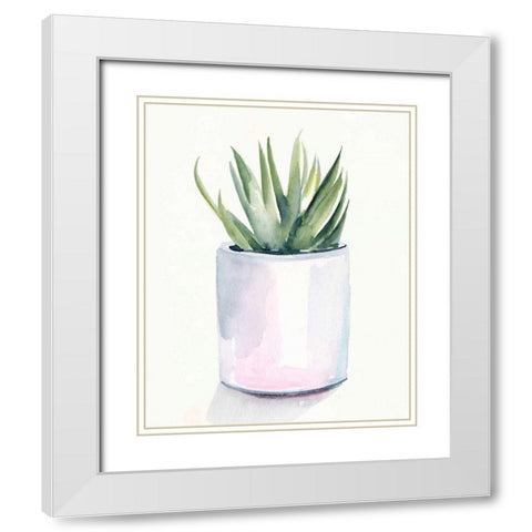 Potted Succulent III White Modern Wood Framed Art Print with Double Matting by Parker, Jennifer Paxton