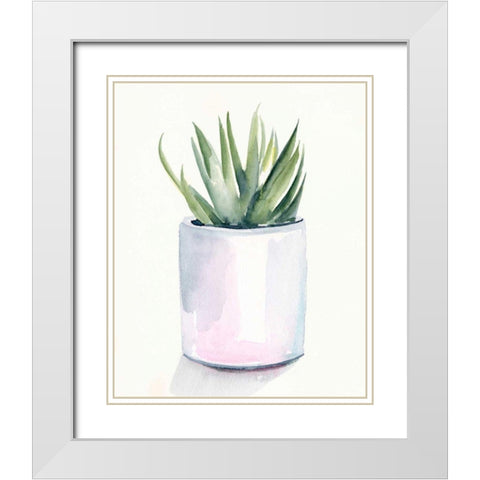 Potted Succulent III White Modern Wood Framed Art Print with Double Matting by Parker, Jennifer Paxton