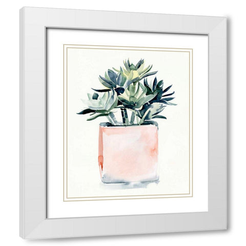 Potted Succulent IV White Modern Wood Framed Art Print with Double Matting by Parker, Jennifer Paxton