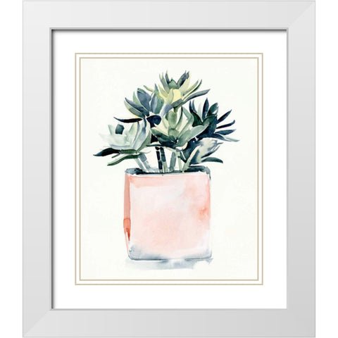 Potted Succulent IV White Modern Wood Framed Art Print with Double Matting by Parker, Jennifer Paxton