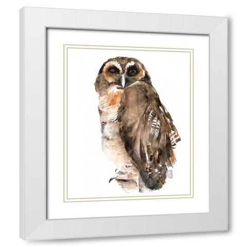 Watercolor Owl I White Modern Wood Framed Art Print with Double Matting by Parker, Jennifer Paxton
