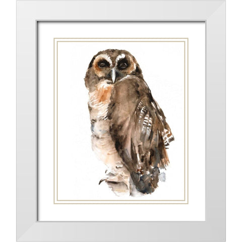 Watercolor Owl I White Modern Wood Framed Art Print with Double Matting by Parker, Jennifer Paxton