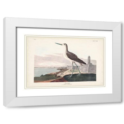 Pl. 269 Greenshank White Modern Wood Framed Art Print with Double Matting by Audubon, John James