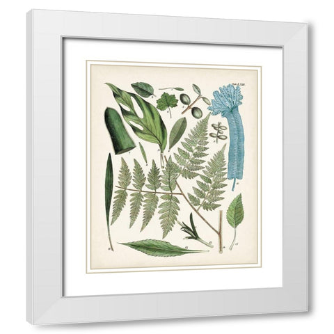 Fanciful Ferns IV White Modern Wood Framed Art Print with Double Matting by Unknown