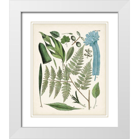 Fanciful Ferns IV White Modern Wood Framed Art Print with Double Matting by Unknown