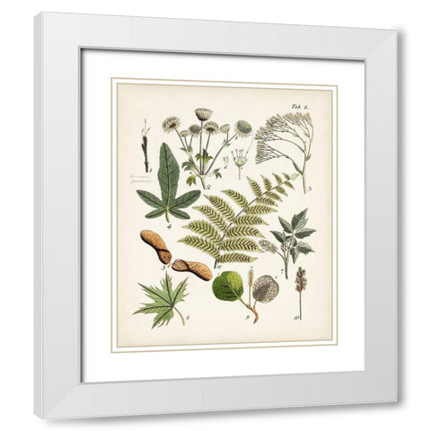 Fanciful Ferns VI White Modern Wood Framed Art Print with Double Matting by Unknown