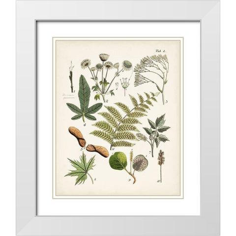 Fanciful Ferns VI White Modern Wood Framed Art Print with Double Matting by Unknown