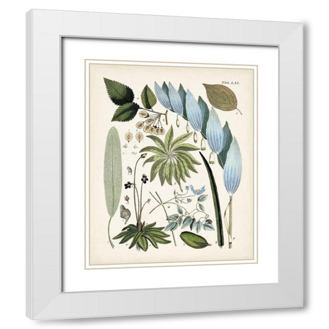 Fanciful Ferns IX White Modern Wood Framed Art Print with Double Matting by Unknown