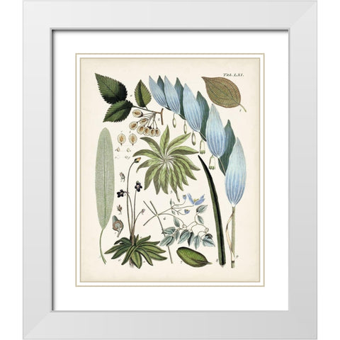 Fanciful Ferns IX White Modern Wood Framed Art Print with Double Matting by Unknown