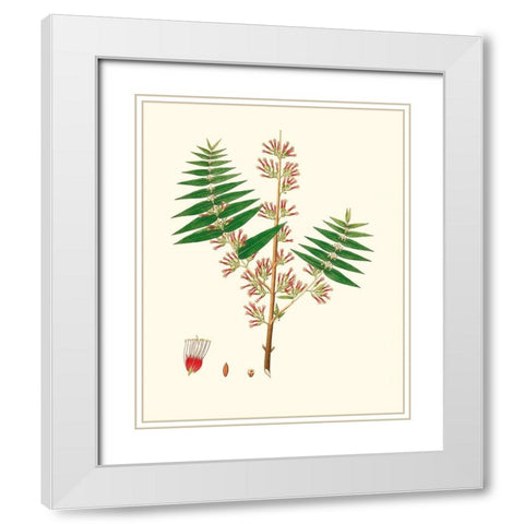 Spring Green Foliage VI White Modern Wood Framed Art Print with Double Matting by Unknown