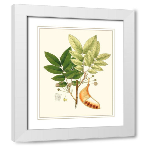 Spring Green Foliage IX White Modern Wood Framed Art Print with Double Matting by Unknown