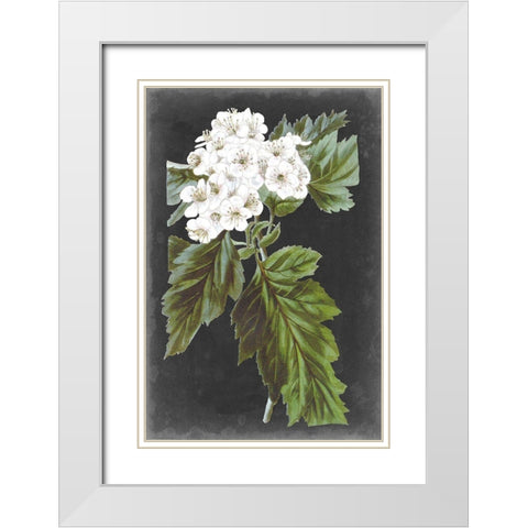 Dramatic White Flowers IV White Modern Wood Framed Art Print with Double Matting by Vision Studio