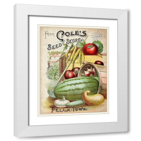 Antique Seed Packets VI White Modern Wood Framed Art Print with Double Matting by Unknown
