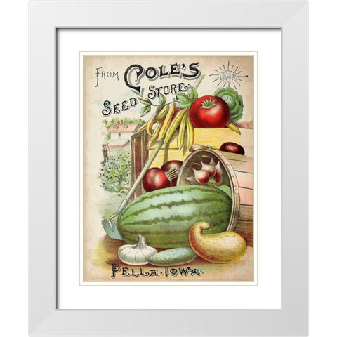 Antique Seed Packets VI White Modern Wood Framed Art Print with Double Matting by Unknown