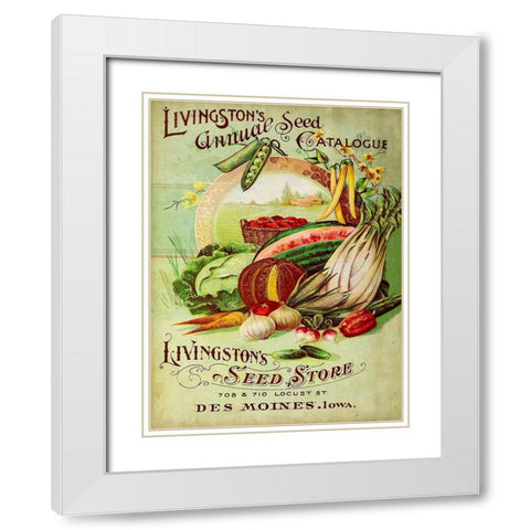 Antique Seed Packets VII White Modern Wood Framed Art Print with Double Matting by Unknown