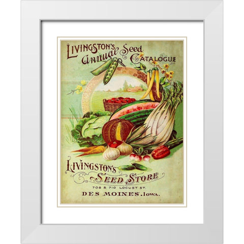 Antique Seed Packets VII White Modern Wood Framed Art Print with Double Matting by Unknown