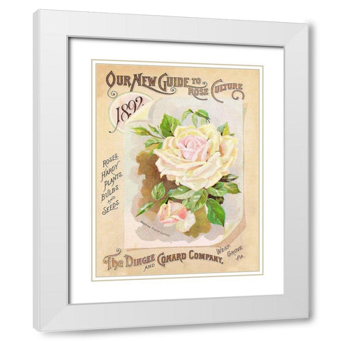 Antique Seed Packets IX White Modern Wood Framed Art Print with Double Matting by Unknown