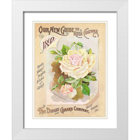 Antique Seed Packets IX White Modern Wood Framed Art Print with Double Matting by Unknown