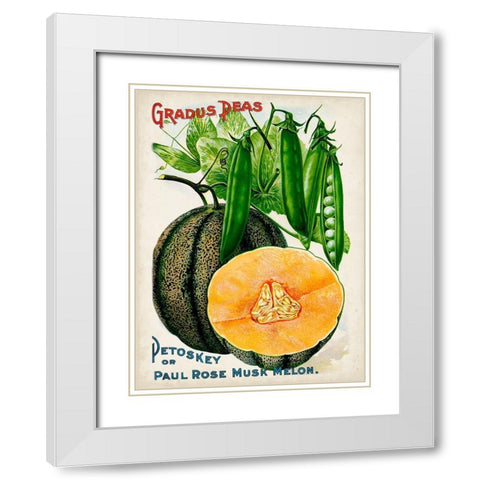 Antique Seed Packets X White Modern Wood Framed Art Print with Double Matting by Unknown