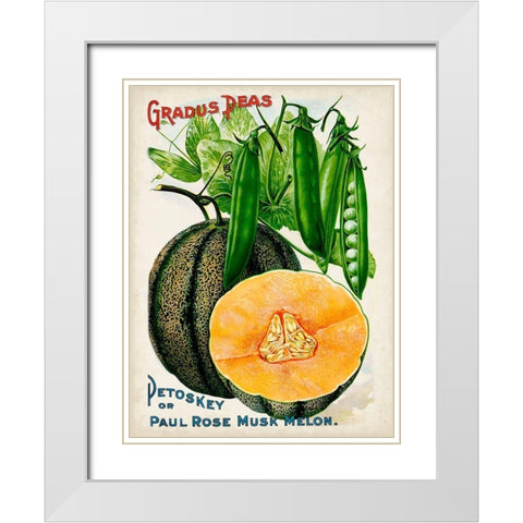 Antique Seed Packets X White Modern Wood Framed Art Print with Double Matting by Unknown