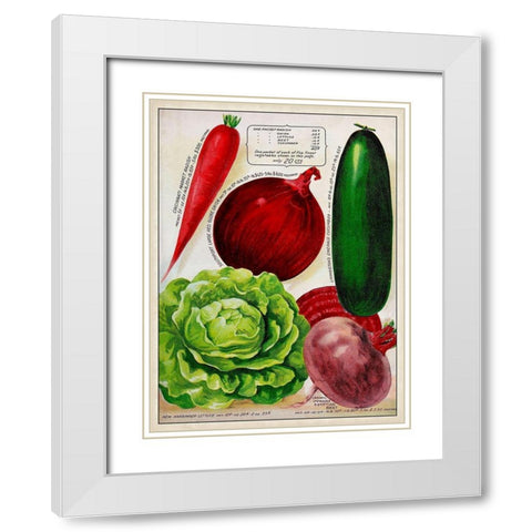 Antique Seed Packets XI White Modern Wood Framed Art Print with Double Matting by Unknown