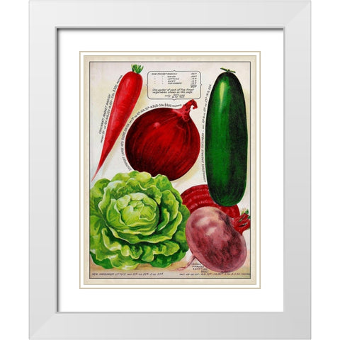Antique Seed Packets XI White Modern Wood Framed Art Print with Double Matting by Unknown