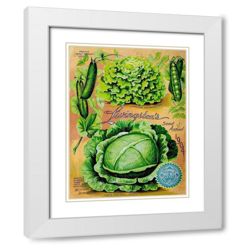Antique Seed Packets XII White Modern Wood Framed Art Print with Double Matting by Unknown