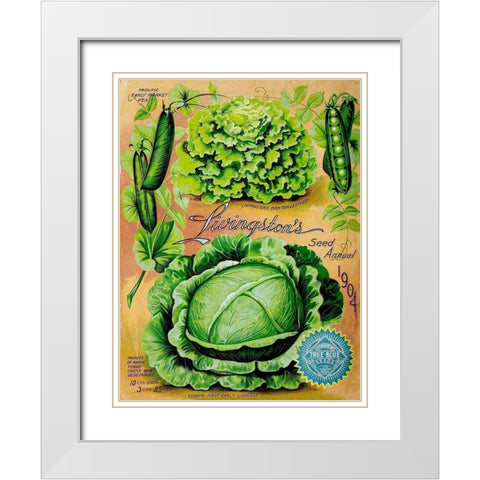 Antique Seed Packets XII White Modern Wood Framed Art Print with Double Matting by Unknown