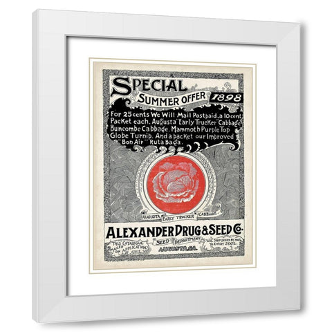 Antique Seed Packets XIII White Modern Wood Framed Art Print with Double Matting by Unknown