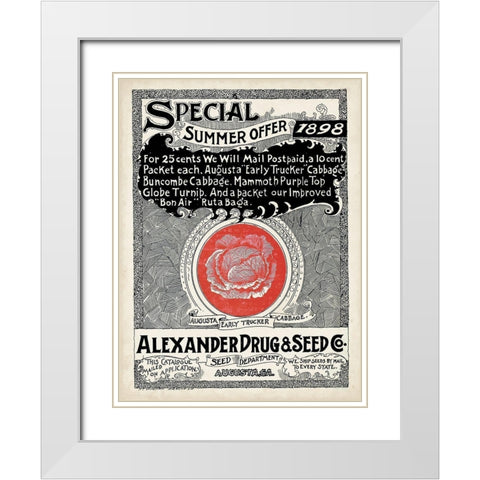 Antique Seed Packets XIII White Modern Wood Framed Art Print with Double Matting by Unknown