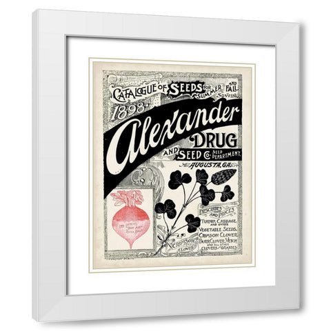 Antique Seed Packets XIV White Modern Wood Framed Art Print with Double Matting by Unknown