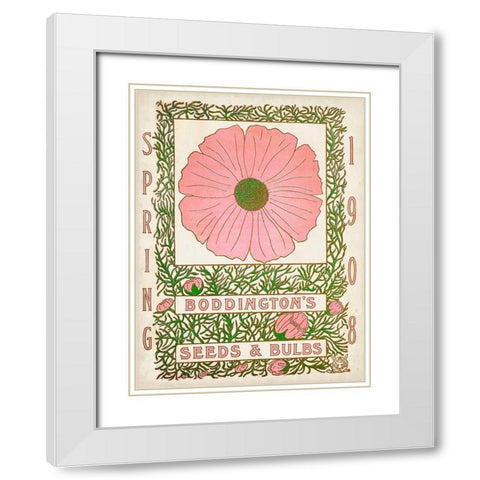 Antique Seed Packets XV White Modern Wood Framed Art Print with Double Matting by Unknown