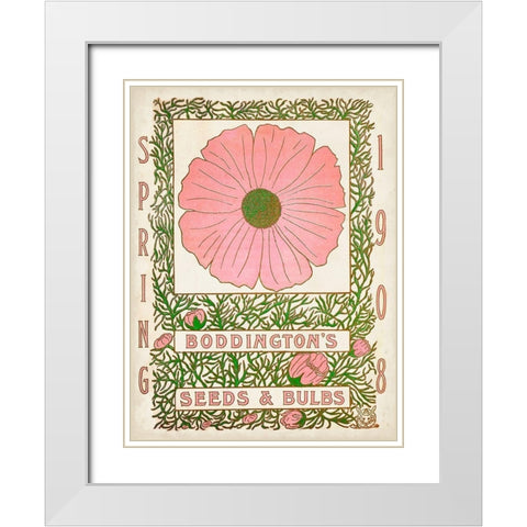 Antique Seed Packets XV White Modern Wood Framed Art Print with Double Matting by Unknown