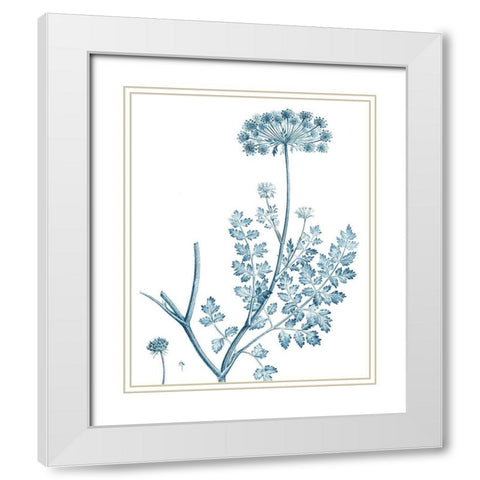 Antique Botanical in Blue V White Modern Wood Framed Art Print with Double Matting by Vision Studio