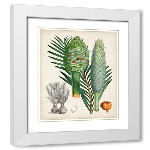 Sago Palms I White Modern Wood Framed Art Print with Double Matting by Curtis