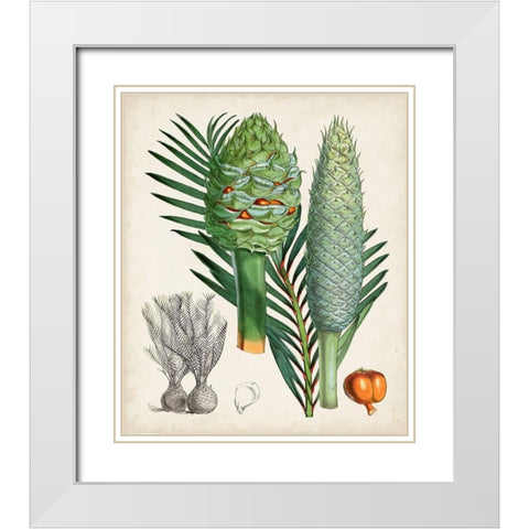 Sago Palms I White Modern Wood Framed Art Print with Double Matting by Curtis