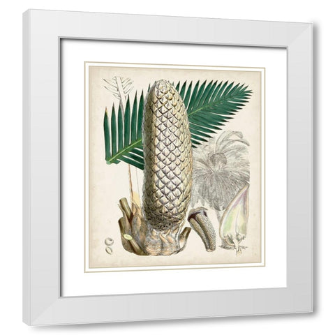 Sago Palms II White Modern Wood Framed Art Print with Double Matting by Curtis