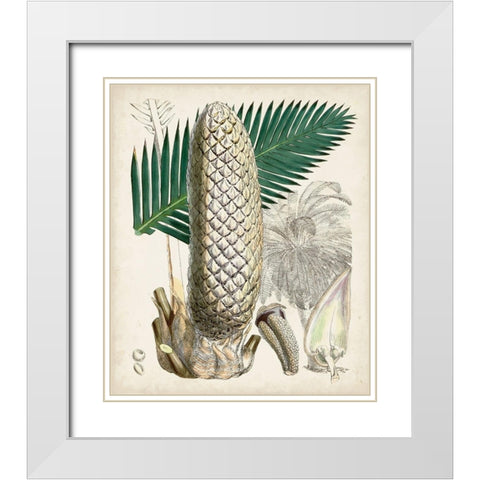 Sago Palms II White Modern Wood Framed Art Print with Double Matting by Curtis