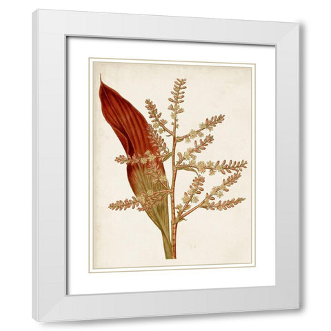 Muted Botanicals I White Modern Wood Framed Art Print with Double Matting by Curtis