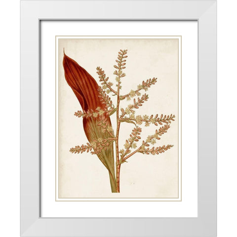 Muted Botanicals I White Modern Wood Framed Art Print with Double Matting by Curtis